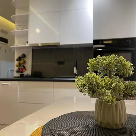 Apartment Tontic Lux Hill 53