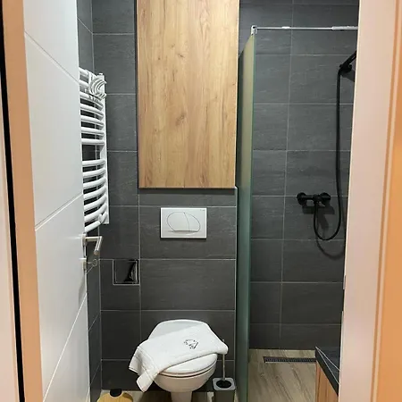 Tontic Lux Hill 53 Apartment *