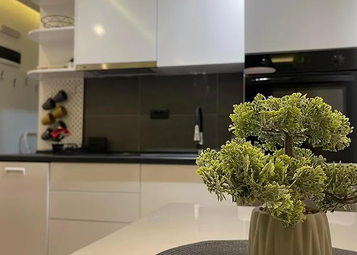 Apartmán Tontic Lux Hill 53