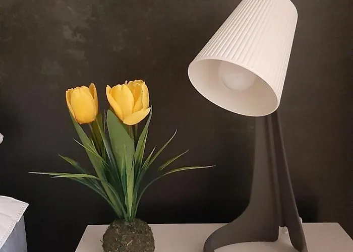 Tontic Lux Hill 53 *